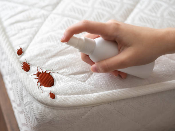Best Pest Prevention Services  in Redington Beach, FL