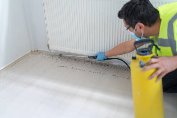 Pest Control for Restaurants in Redington Beach, FL